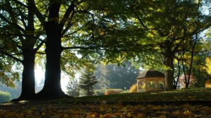 Fot. kudowa.pl