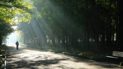 Fot. kudowa.pl