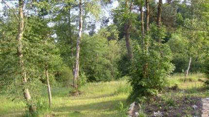 Domek Aljanówka