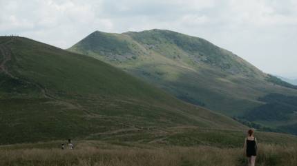 Tarnica