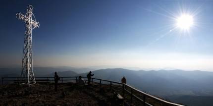 Tarnica