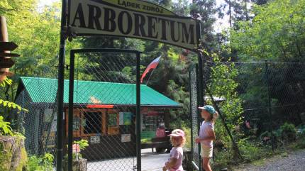 Arboretum im. Mieczysława Wilczkiewicza