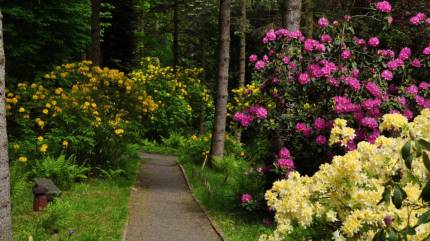 Arboretum im. Mieczysława Wilczkiewicza