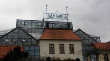 Palmiarnia