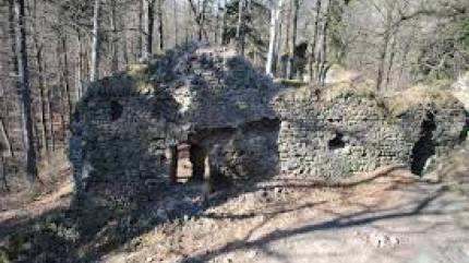 Zamek Wronów