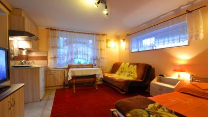 apartament jednopokojowy