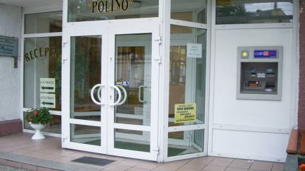 Polino