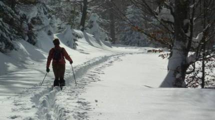 Trasy narciarstwa biegowego i ski-tour