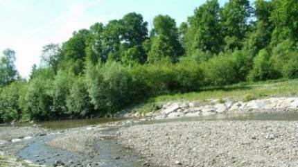 Czarny Dunajec