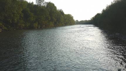 Czarny Dunajec