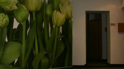 Hostel Rynek 7