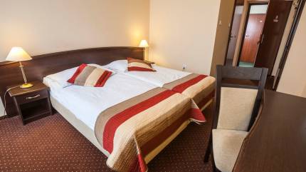 Hotel Anek **