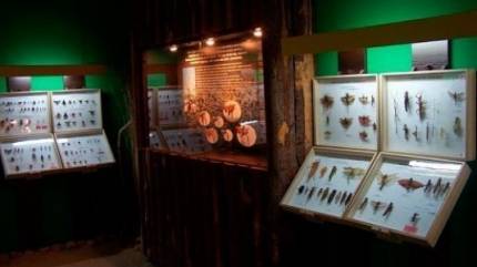 Muzeum Motyli