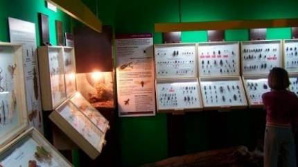 Muzeum Motyli