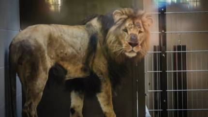 ZOO - Miejski Ogród Zoologiczny