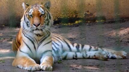 ZOO - Miejski Ogród Zoologiczny