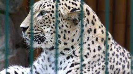 ZOO - Miejski Ogród Zoologiczny