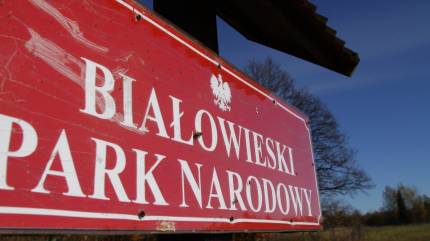 Białowieski Park Narodowy