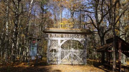 Białowieski Park Narodowy 