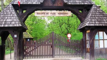 Białowieski Park Narodowy