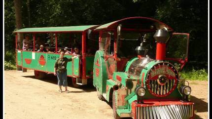 Białowieski Express
