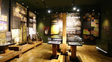 Muzeum Śląska Opolskiego