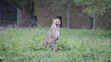 Opolskie ZOO