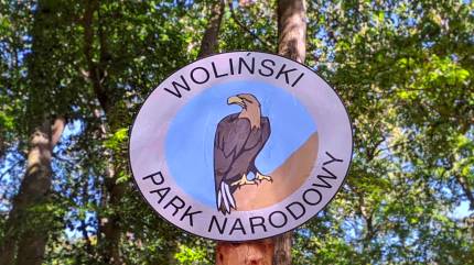 Woliński Park Narodowy - Międzywodzie. Fot. Łukasz Grzejszczak Mojeurlopy.pl