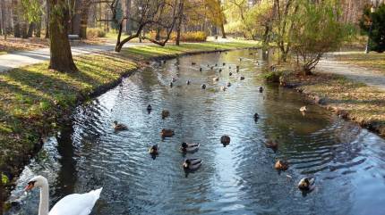 Park Zamkowy