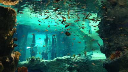 Afrykarium Wrocław