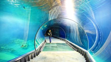 Afrykarium Wrocław