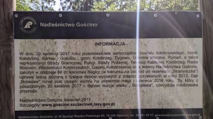 Tablica informacyjna o założeniu uprawy leśnej łożonej z 1000 dębów. Fot. Łukasz Grzejszczak Mojeurlopy.pl