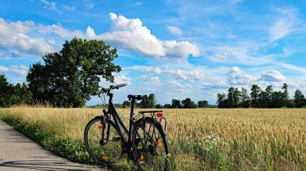 Ścieżki rowerowe