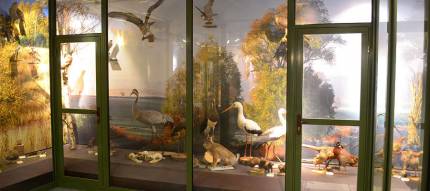 Muzeum Ziemi Piskiej