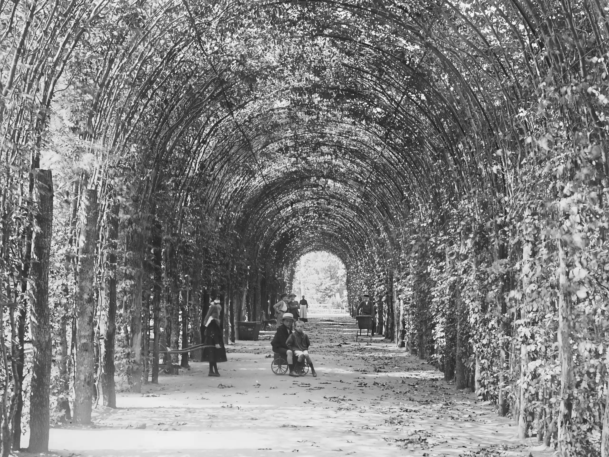 Bindaż grabowy w Kołobrzegu, 1901 rok. Laubengang am Frühkonzertplatz - Kolberg, czyli pergola na placu koncertowym w Kołobrzegu. Fot. Brück und Sohn, 1901 r., Domena Publiczna Bindaż grabowy w Kołobrzegu - 1901 rok. Archiwalne zdjęcie.