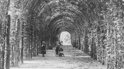 Bindaż grabowy w Kołobrzegu, 1901 rok. Laubengang am Frühkonzertplatz - Kolberg, czyli pergola na placu koncertowym w Kołobrzegu. Fot. Brück und Sohn, 1901 r., Domena Publiczna