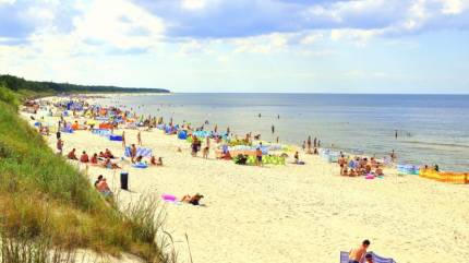 Plaża w Grzybowie