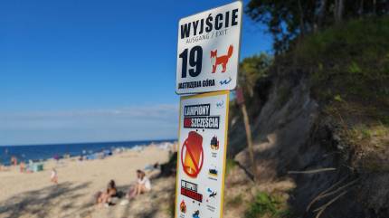 Tablica z lisem przy wyjściu na plażę nr 19 obok Lisiego Jaru w Jastrzębiej Górze. Fot. Łukasz Grzejszczak Mojeurlopy.pl