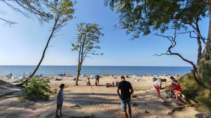 Ostatnie metry wyjścia z Lisiego Jaru na plażę nr 19 w Jastrzębiej Górze. Znajdziecie tutaj ławeczkę, można odpocząć lub zmienić buty. Fot. Łukasz Grzejszczak Mojeurlopy.pl
