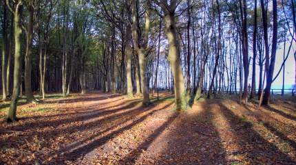Trasy Nordic Walking, fot. Łukasz Grzejszczak Mojeurlopy.pl