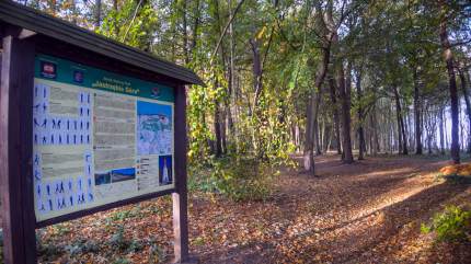 Nordic Walking Park - Jastrzębia Góra. Fot. Łukasz Grzejszczak Mojeurlopy.pl