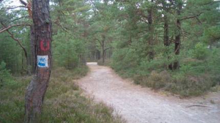 Ścieżki rowerowe