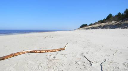 Plaża w Rogowie
