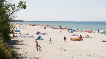 Plaża Poddąbie
