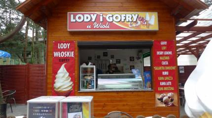 Lody i Gofry u Wioli