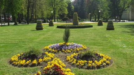 Park Zdrojowy