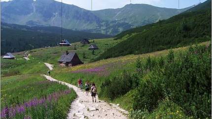 Hala Gąsienicowa