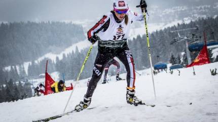 zdjęcie:
http://polskabiega.sport.pl/polskabiega/1,129969,19551729,biegacze-na-biegowki.html