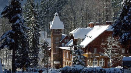 Drewniane domy w stylu szwajcarskim i norweskim