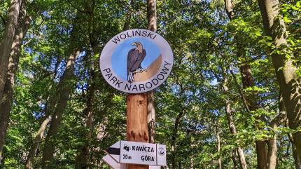 Znak Wolińskiego Parku Narodowego z tabliczką czarnego szlaku pieszego na Kawczą Górę. Fot. Łukasz Grzejszczak, Mojeurlopy.pl